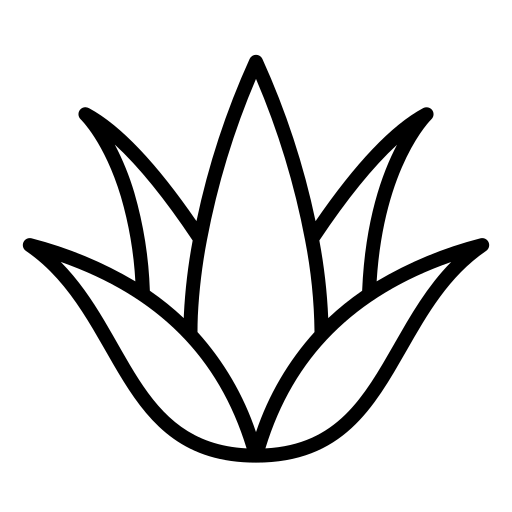 Ágave